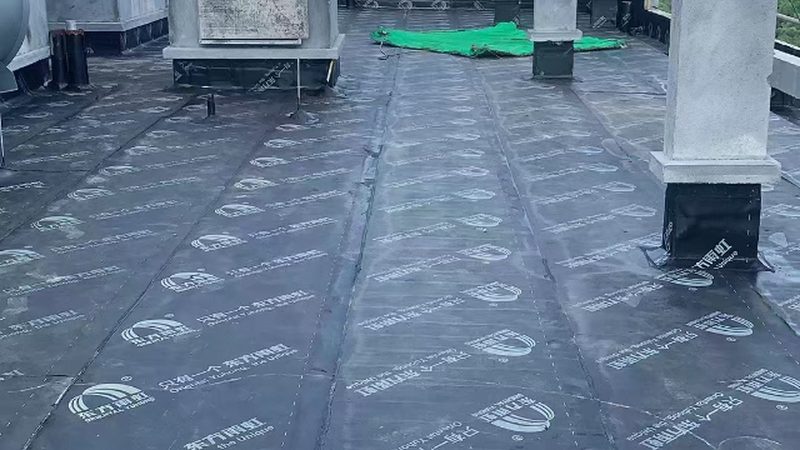 JS防水涂料施工成本解析：一桶价格背后的考量