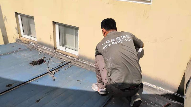 水性防水涂料与油性防水涂料：耐用性对比分析